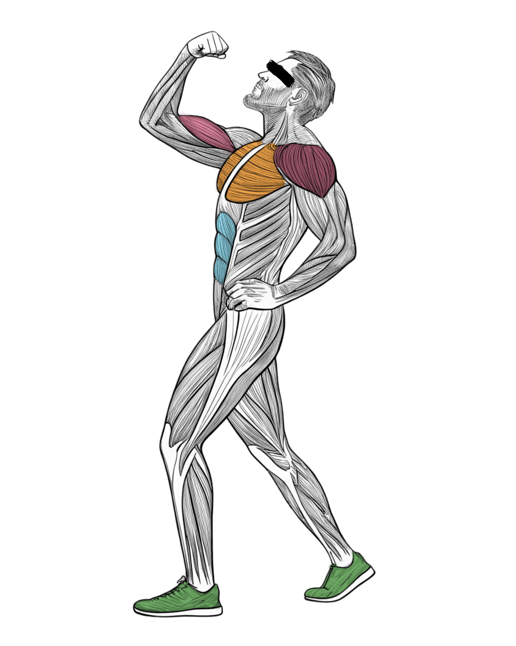 The Science Behind Muscle Growth Longblu